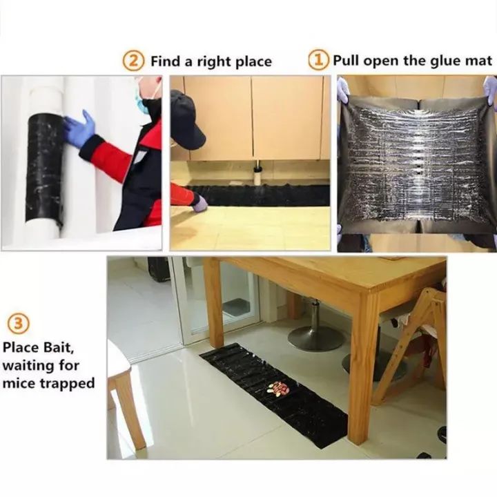 Rat Killing Magic Carpet